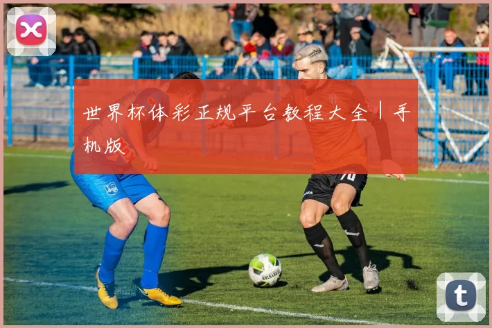 世界杯体彩正规平台教程大全｜手机版