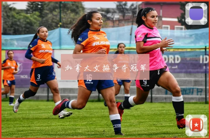 加拿大女排争夺冠军