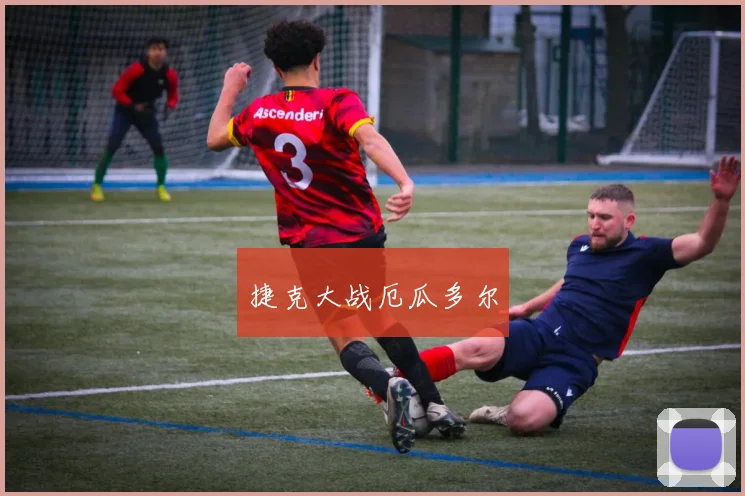 捷克大战厄瓜多尔