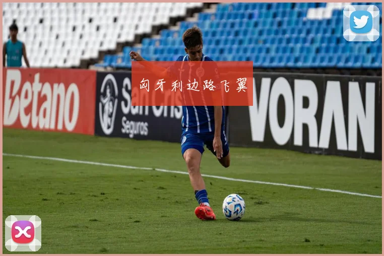 匈牙利边路飞翼