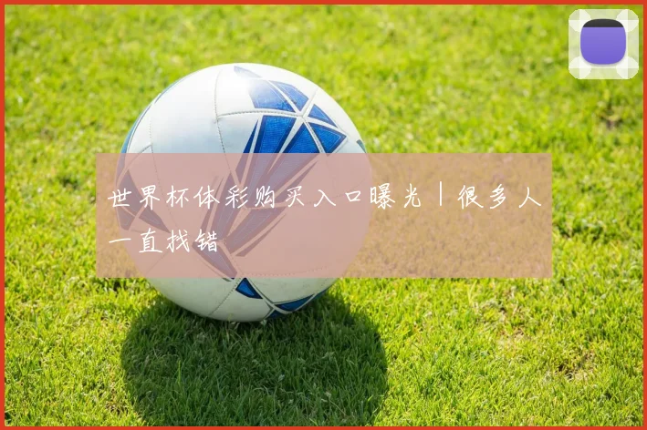 世界杯体彩购买入口曝光｜很多人一直找错