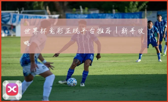 世界杯竞彩正规平台推荐｜新手攻略