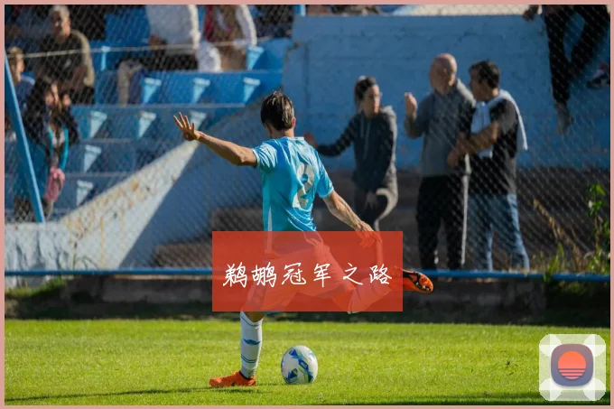 鹈鹕冠军之路